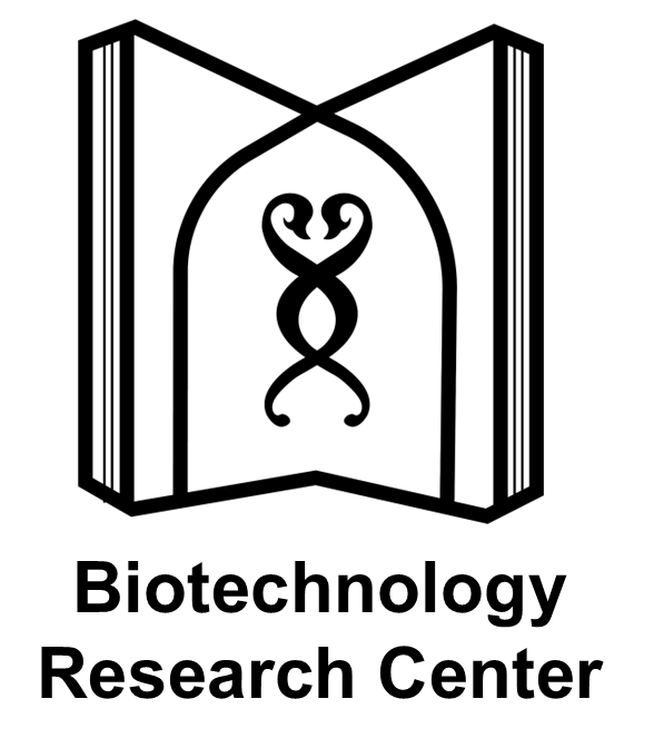 Logo 1